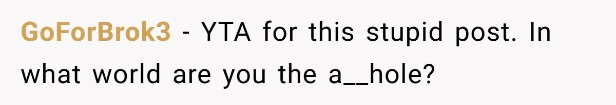 GoForBrok3 − YTA for this stupid post. In what world are you the a__hole?
