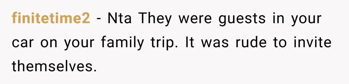 finitetime2 − Nta They were guests in your car on your family trip. It was rude to invite themselves.
