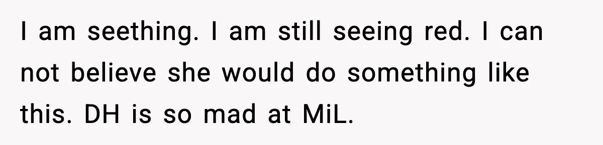 I am seething. I am still seeing red. I can not believe she would do something like this. DH is so mad at MiL.