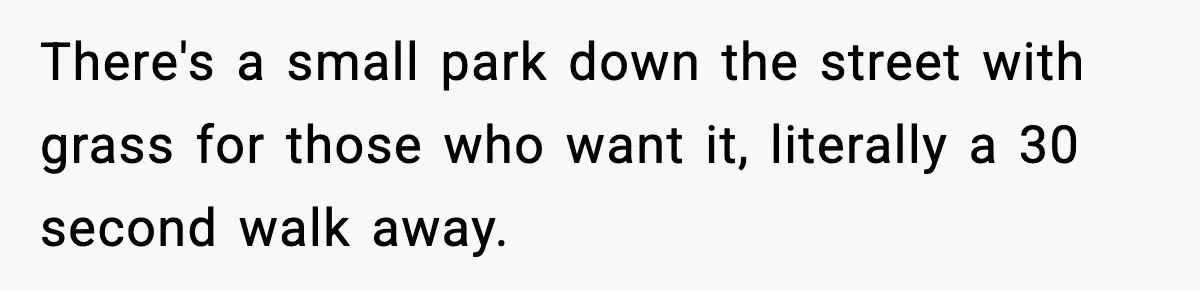There's a small park down the street with grass for those who want it, literally a 30 second walk away.