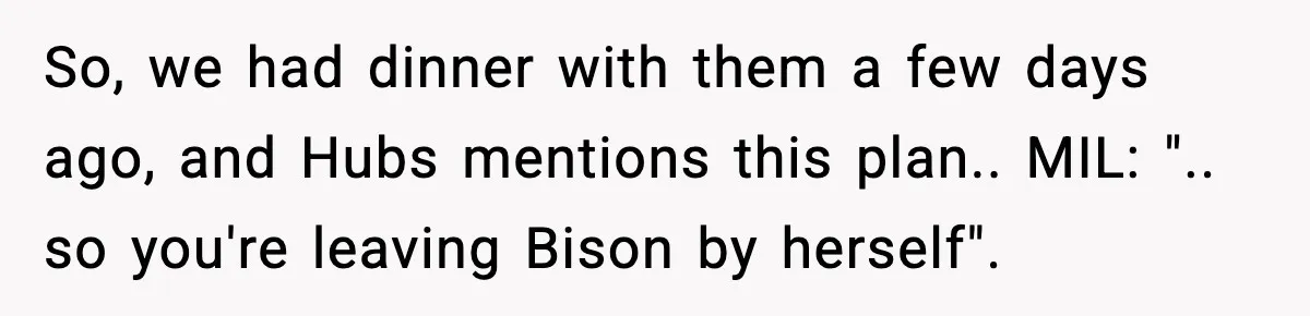 MIL Called Their Marriage “Not Real”, So She Quietly Walked Out So, we had dinner with them a few days ago, and Hubs mentions this plan.. MIL: ".. so you're leaving Bison by herself".