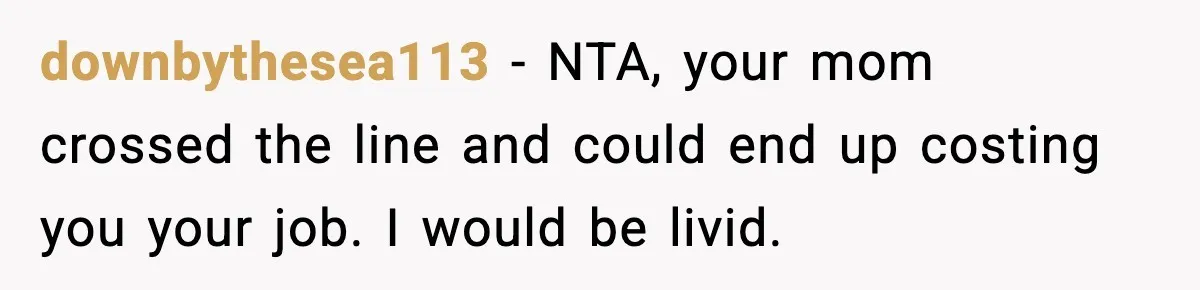 downbythesea113 − NTA, your mom crossed the line and could end up costing you your job. I would be livid.
