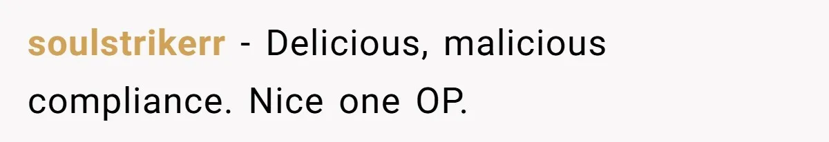 soulstrikerr − Delicious, malicious compliance. Nice one OP.