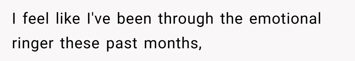 I feel like I've been through the emotional ringer these past months,