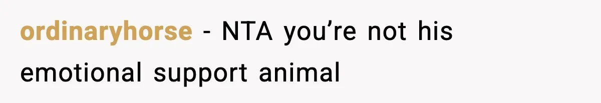 Teen Refuses To Move Back With Dad After He Replaced Her With New Family ordinaryhorse − NTA you’re not his emotional support animal