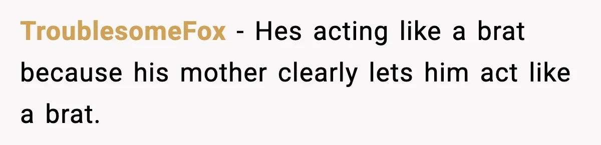 Dad Calls Son’s Sleepover Guest A Brat After He Refuses Breakfast Over Missing Sesame Bagel TroublesomeFox − Hes acting like a brat because his mother clearly lets him act like a brat.