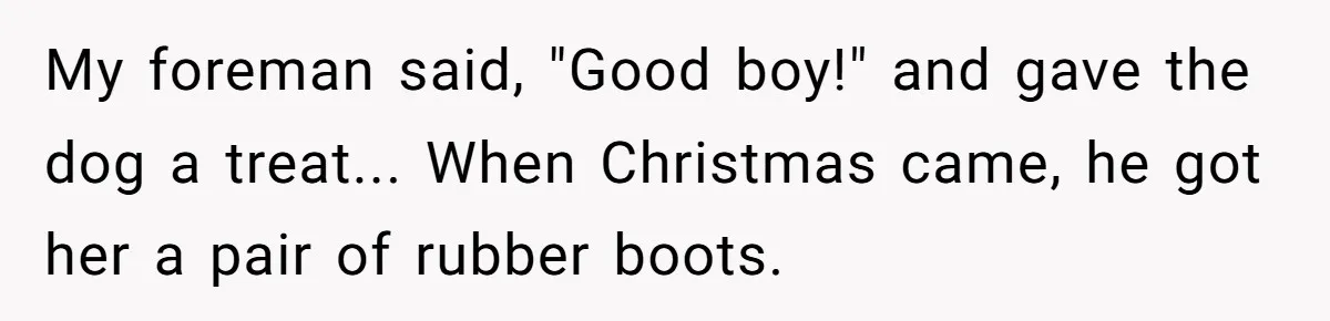 My foreman said, "Good boy!" and gave the dog a treat... When Christmas came, he got her a pair of rubber boots.