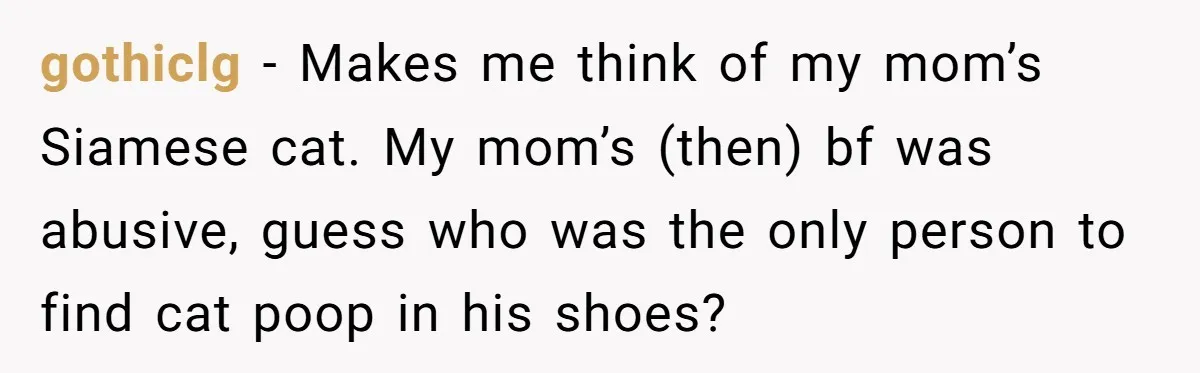 gothiclg − Makes me think of my mom’s Siamese cat. My mom’s (then) bf was abusive, guess who was the only person to find cat poop in his shoes?