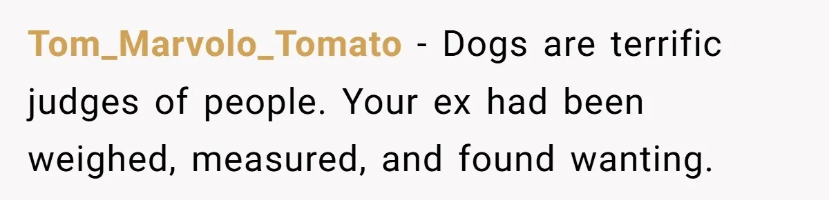 Tom_Marvolo_Tomato − Dogs are terrific judges of people. Your ex had been weighed, measured, and found wanting.
