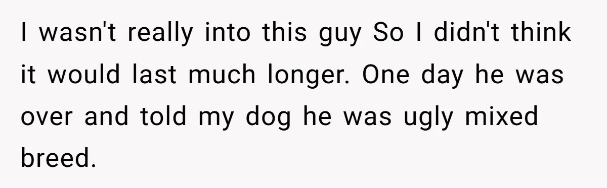 I wasn't really into this guy So I didn't think it would last much longer. One day he was over and told my dog he was ugly mixed breed.