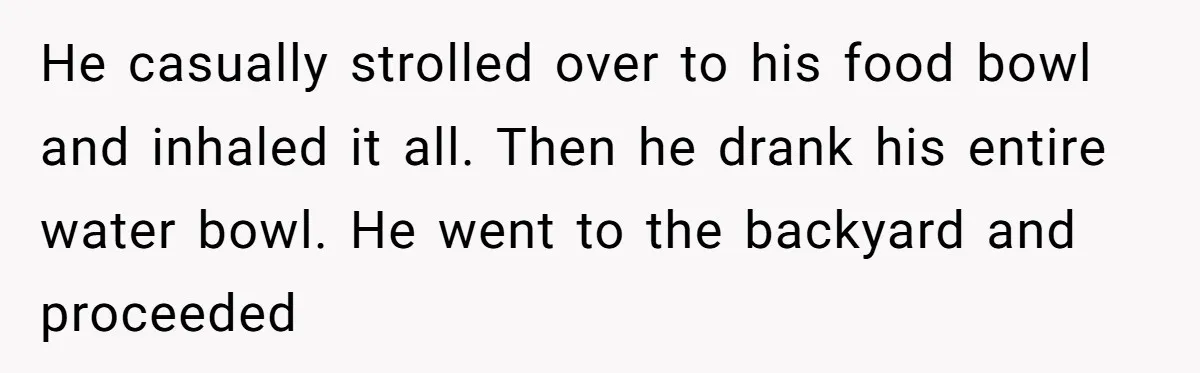 He casually strolled over to his food bowl and inhaled it all. Then he drank his entire water bowl. He went to the backyard and proceeded