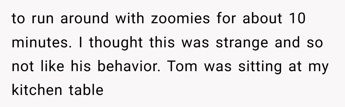 to run around with zoomies for about 10 minutes. I thought this was strange and so not like his behavior. Tom was sitting at my kitchen table