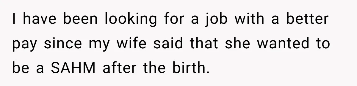 I have been looking for a job with a better pay since my wife said that she wanted to be a SAHM after the birth.