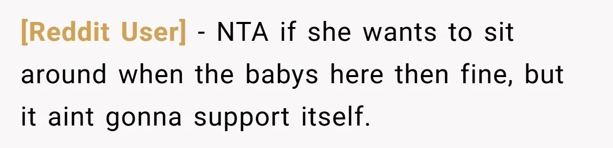 [Reddit User] − NTA if she wants to sit around when the babys here then fine, but it aint gonna support itself.