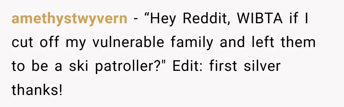 amethystwyvern − “Hey Reddit, WIBTA if I cut off my vulnerable family and left them to be a ski patroller?" Edit: first silver thanks!