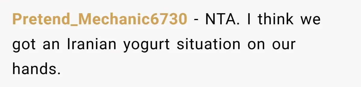 Husband Skips Wife For Family Party After They Blames Her Miscarriage, So She Refuses To Save Him Cake Pretend_Mechanic6730 − NTA. I think we got an Iranian yogurt situation on our hands.