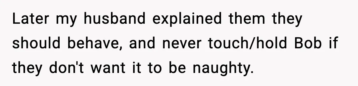 Husband Ruins Stepson’s Birthday Cake With Elf Prank, Then Blamed Wife For Throwing Elf Away Later my husband explained them they should behave, and never touch/hold Bob if they don't want it to be naughty.