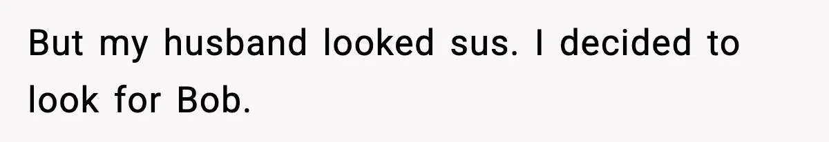 Husband Ruins Stepson’s Birthday Cake With Elf Prank, Then Blamed Wife For Throwing Elf Away But my husband looked sus. I decided to look for Bob.