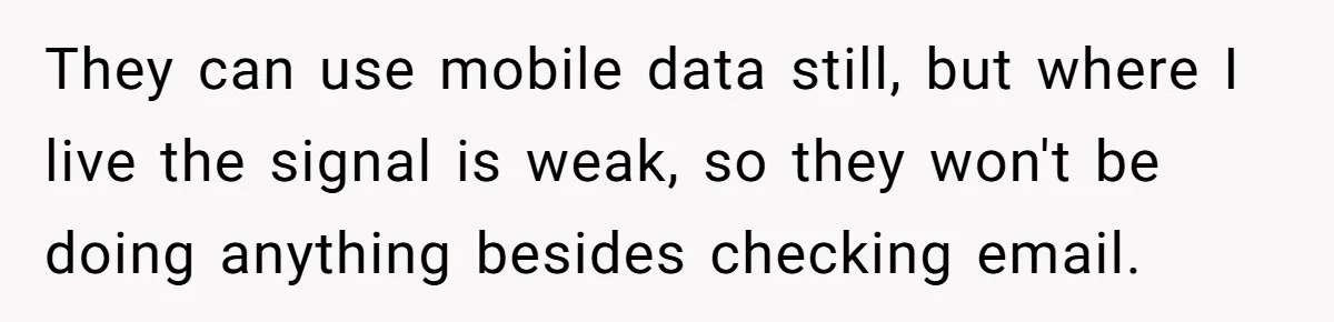 They can use mobile data still, but where I live the signal is weak, so they won't be doing anything besides checking email.