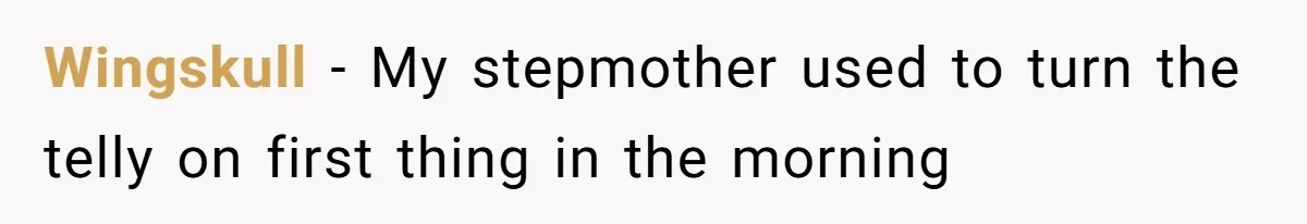 Wingskull − My stepmother used to turn the telly on first thing in the morning