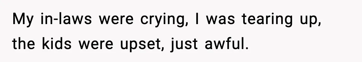 Sister Says “Kids Need A Mom” At Late Wife’s Son’s Birthday, Brother Kicks Her And Nephew Out Of House My in-laws were crying, I was tearing up, the kids were upset, just awful.