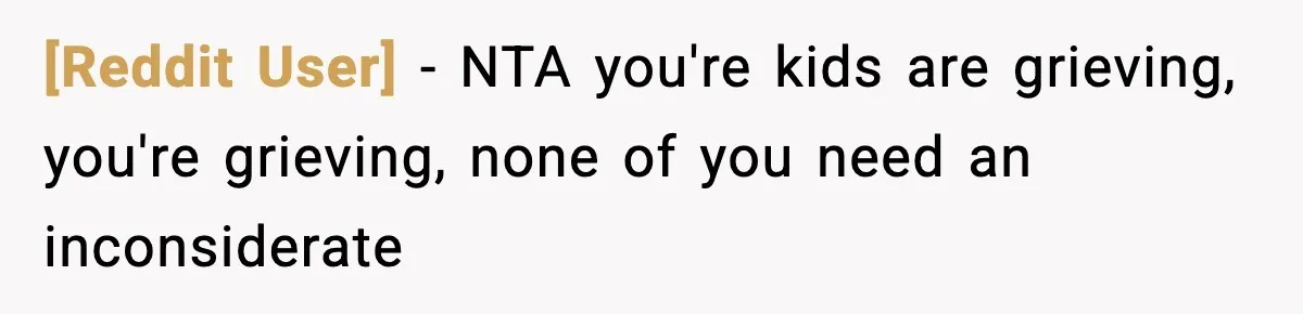[Reddit User] − NTA you're kids are grieving, you're grieving, none of you need an inconsiderate