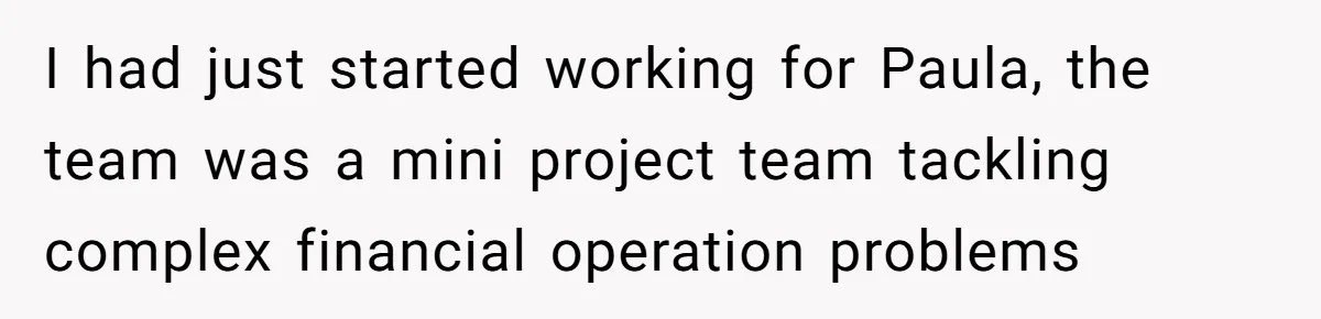 I had just started working for Paula, the team was a mini project team tackling complex financial operation problems
