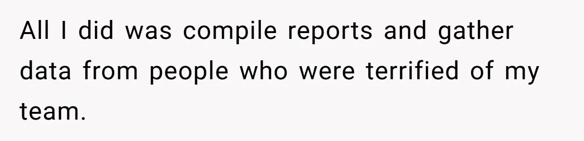 All I did was compile reports and gather data from people who were terrified of my team.