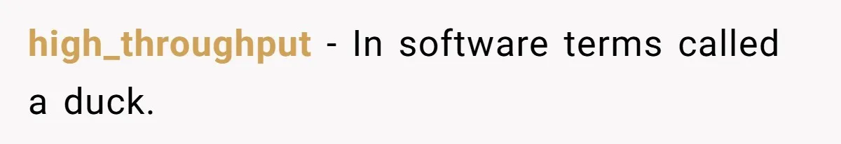 high_throughput − In software terms called a duck.