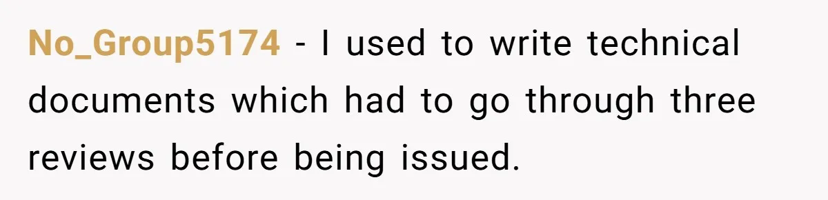 No_Group5174 − I used to write technical documents which had to go through three reviews before being issued.