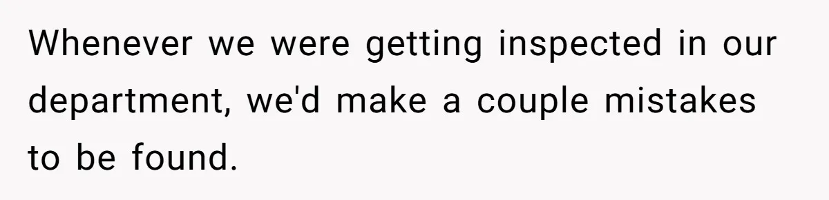 Whenever we were getting inspected in our department, we'd make a couple mistakes to be found.