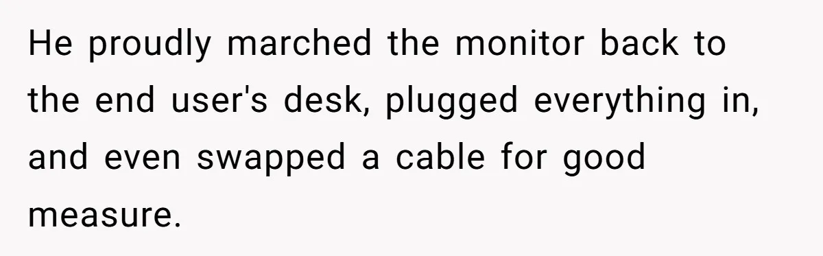 He proudly marched the monitor back to the end user's desk, plugged everything in, and even swapped a cable for good measure.