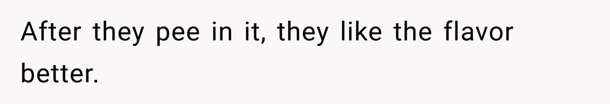 After they pee in it, they like the flavor better.