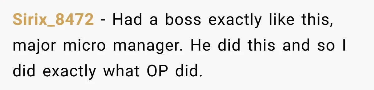 Sirix_8472 − Had a boss exactly like this, major micro manager. He did this and so I did exactly what OP did.