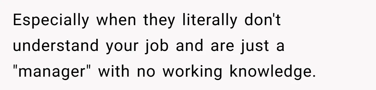 Especially when they literally don't understand your job and are just a "manager" with no working knowledge.