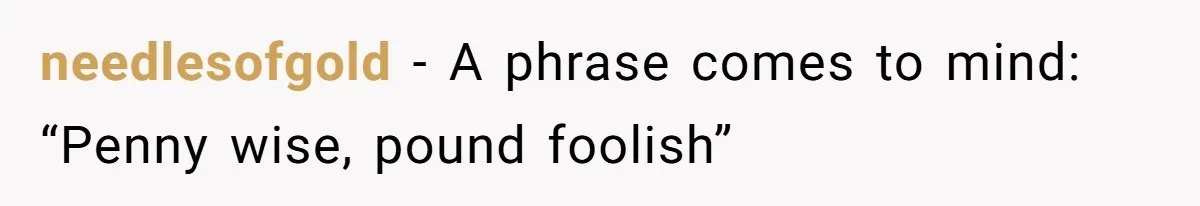 Company Refuses To Ship Device, Employee “Commutes” Two Hours On Company Time needlesofgold − A phrase comes to mind: “Penny wise, pound foolish”