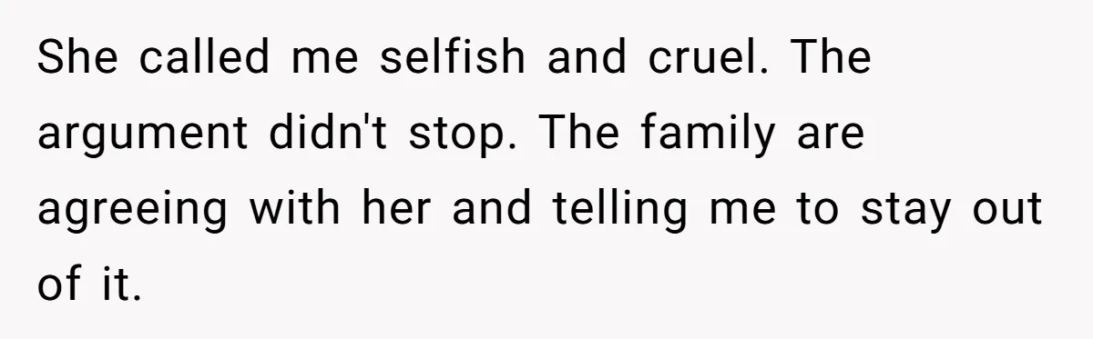 She called me selfish and cruel. The argument didn't stop. The family are agreeing with her and telling me to stay out of it.