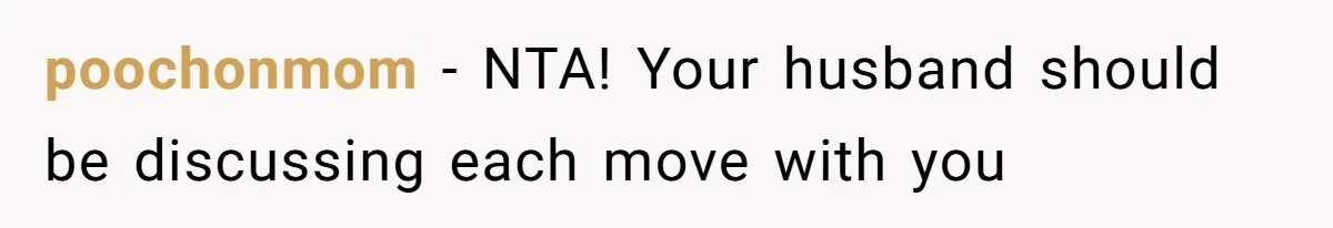 poochonmom − NTA! Your husband should be discussing each move with you