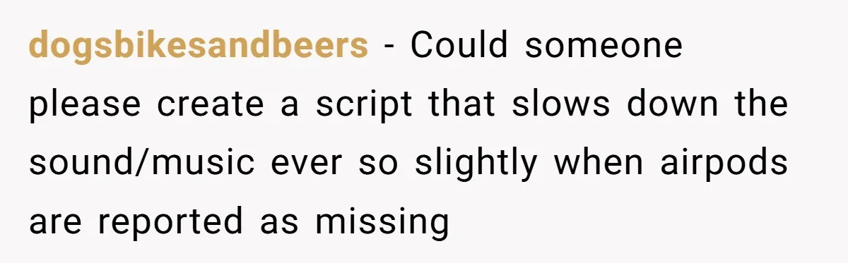 Airline Cleaner Allegedly Swipes AirPods, She Fights Back With “Find My” dogsbikesandbeers − Could someone please create a script that slows down the sound/music ever so slightly when airpods are reported as missing