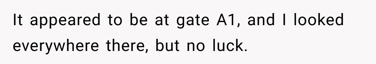 Airline Cleaner Allegedly Swipes AirPods, She Fights Back With “Find My” It appeared to be at gate A1, and I looked everywhere there, but no luck.