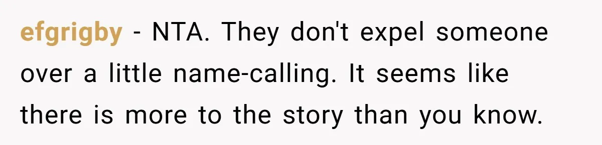 efgrigby − NTA. They don't expel someone over a little name-calling. It seems like there is more to the story than you know.