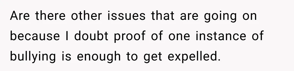 Are there other issues that are going on because I doubt proof of one instance of bullying is enough to get expelled.