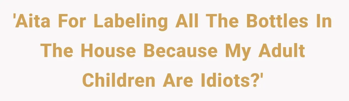 'AITA for labeling all the bottles in the house because my adult children are idiots?'