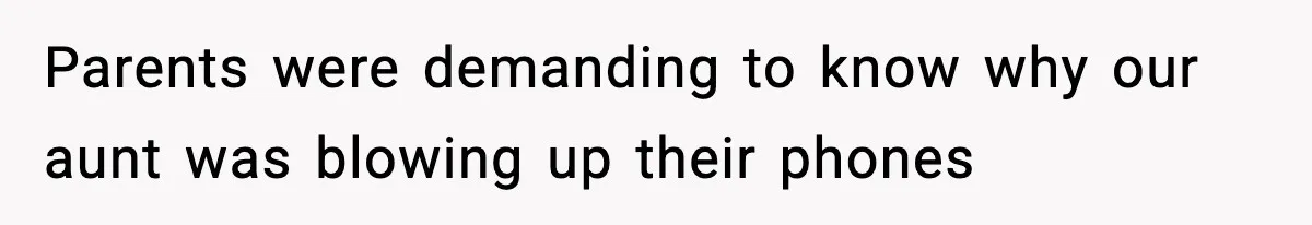 Parents were demanding to know why our aunt was blowing up their phones