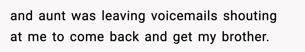 and aunt was leaving voicemails shouting at me to come back and get my brother.