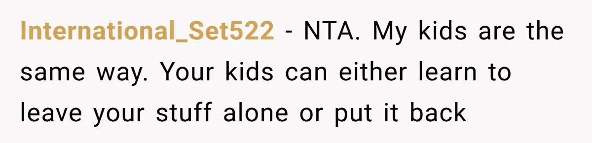 International_Set522 − NTA. My kids are the same way. Your kids can either learn to leave your stuff alone or put it back