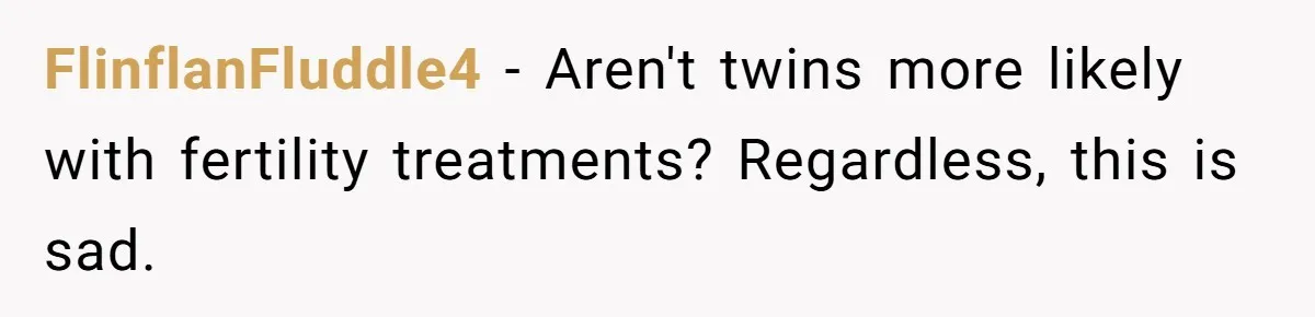 FlinflanFluddle4 − Aren't twins more likely with fertility treatments? Regardless, this is sad.