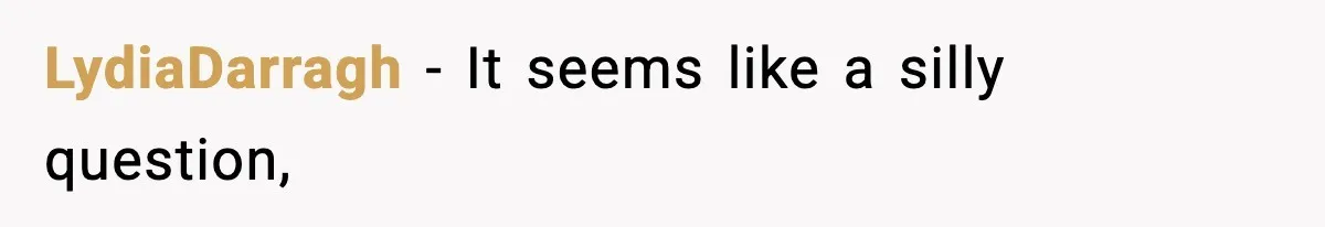 LydiaDarragh − It seems like a silly question,