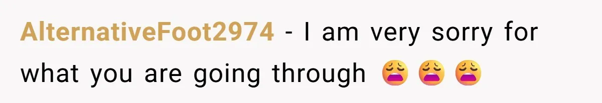 AlternativeFoot2974 − I am very sorry for what you are going through 😩😩😩