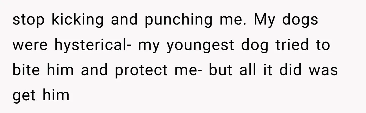 stop kicking and punching me. My dogs were hysterical- my youngest dog tried to bite him and protect me- but all it did was get him